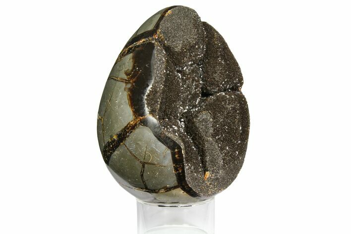 Septarian Dragon Egg Geode - Black Crystals #145260